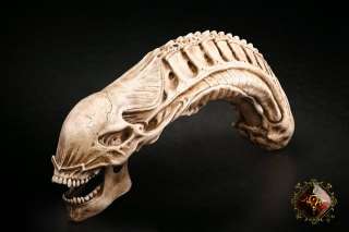 COOL Alien Fossil Resin Replica Model Size 11 Unique Free Shpping 