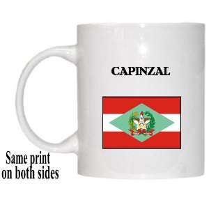 Santa Catarina   CAPINZAL Mug