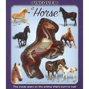   Horse   [UNCOVER A HORSE] [Hardcover]: David(Author) Gordon: Books