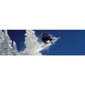 Vantage Point Concepts Window Graphic   Backcountry Snowboarding