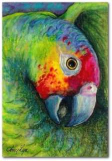 Tropic Green Cheeked  Tropical Parrot Bird Art   by BiHrLe OE 