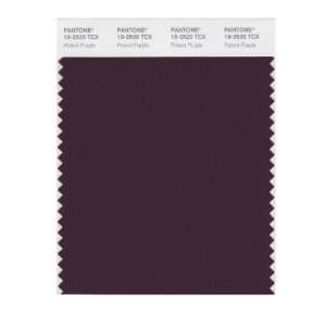   SMART 19 2520X Color Swatch Card, Potent Purple: Home Improvement