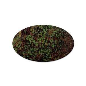  Undergrowth By Vincent Van Gogh Oval Sticker: Everything 