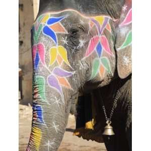 Painted Elephant, Amber Fort Palace, Jaipur, Rajasthan, India, Asia 