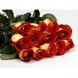    Two Dozen Long Stemmed Premium Leonidas Roses