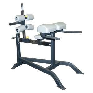  Champion Barbell Glute/Ham Station: Sports & Outdoors