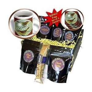 SmudgeArt Bird Art Designs   Palm Warbler   Coffee Gift Baskets 