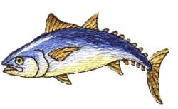 Tuna Fish Embroidered Iron On Applique Patch 152640  