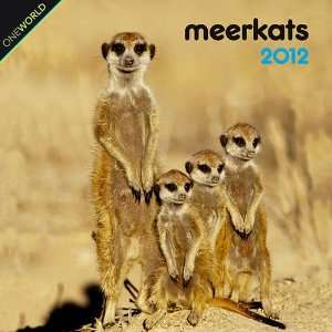  Meerkats 2012 Mini Wall Calendar: Office Products
