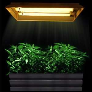 PL Fluorescent Grow Light Fixture 2 Tube 110w 3000k:  