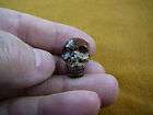 HH 112 31 HUMAN SKULL RED JASPER stone GEM skulls Braz