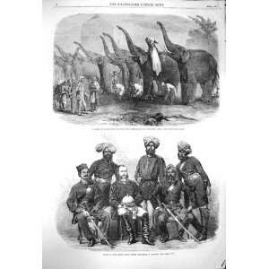   1864 Elephants Saluting Dinapore India Police Bengal