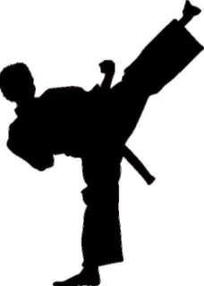 HUGE Karate Kid kick vinyl sticker taekwondo room 238  