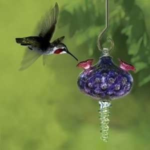  Blown Glass Hummingbird Feeder, Exclusive: Kitchen 