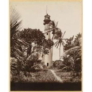  Old Cape Florida Lighthouse,Key Biscayne,FL,palm trees 