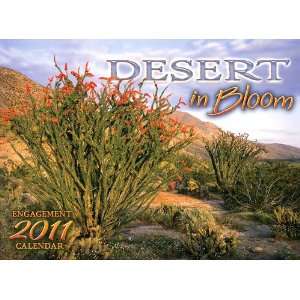  Desert in Bloom 2011 Wall Calendar: Office Products