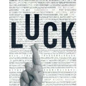  Luck: The Brilliant Randomness of Everyday Life [Hardcover 