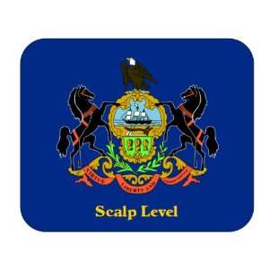  US State Flag   Scalp Level, Pennsylvania (PA) Mouse Pad 