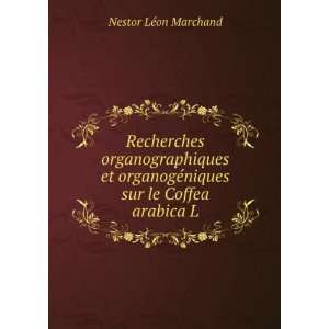   Sur Le Coffea Arabica L. (French Edition) LÃ©on Marchand Books