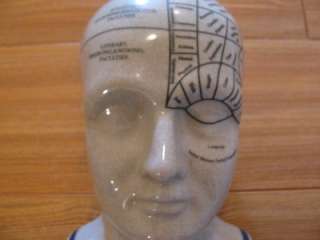 BIG & EARLY W/ HEAVY CRAZING PHRENOLOGY MEDICAL MANNEQUIN  