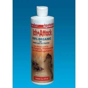  Ich Attack for Fresh and Saltwater Aquariums   16 oz: Pet Supplies