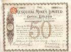 mexico bond 1901 the mesquital mines company 50 shares buy