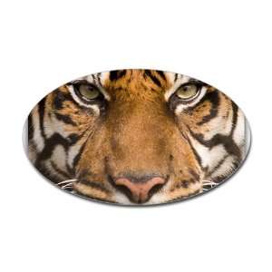 Sticker (Oval) Sumatran Tiger Face 