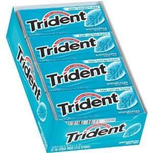 Trident Wintergreen Sugar Free Chewing Gum (Pack of 24):  
