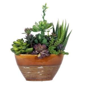  Artificial Succulent Garden in Ridged Oval Ceramic: Home 