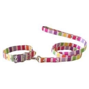  Candystripe Canvas Lead (Size 4ft. , 1/2  width): Pet 