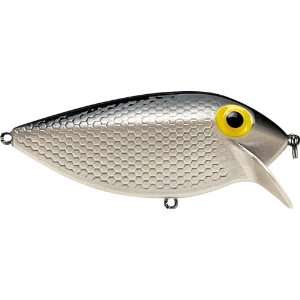  Storm Thin Fin 06 Fishing Lures: Sports & Outdoors