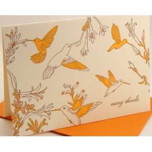  julia rothman hummingbirds letterpress thank you boxed 