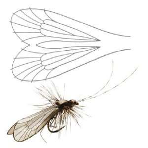  Fly Tying   Caddis Adult Wing   small wing: Sports 