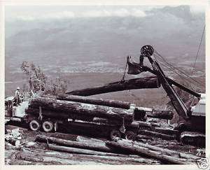 GREAT LUMBERING OCCUPATIONAL ~ OLD STEAM SHOVEL~C 1950  