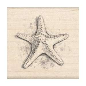   Rubber Stamp K Starfish STAMPK 97097; 2 Items/Order Arts, Crafts