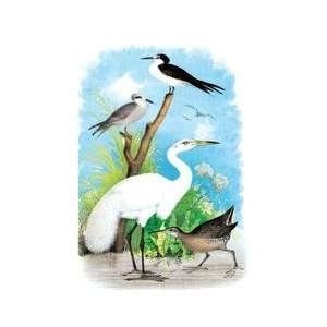  The Great White Egret (White Heron) 12x18 Giclee on canvas 