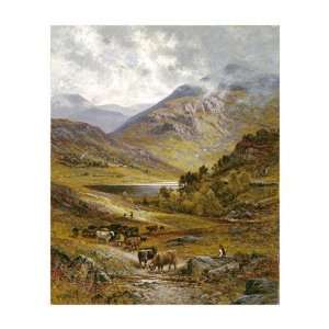 Longhorn Cattle by Alfred Augustus Glendening. size 22 inches width 