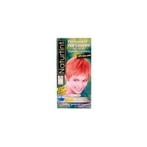 Naturtint 7g Golden Blonde Hair Color (: Grocery & Gourmet Food
