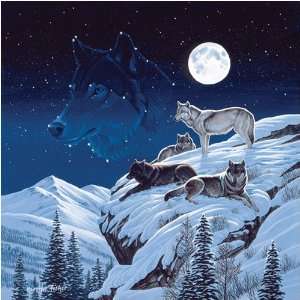  Cynthie Fisher Moonlight Sentinel Jigsaw Puzzle 500pc 