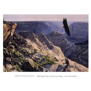  Bald Eagle over Canyon de Chelley by Dino Paravano 32x24 