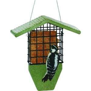  Birds Choice GSTP Green Solutions Suet Feeder: Home 