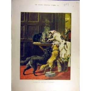  1879 Waller Christmas Dogs Dinner Table Pudding Print 