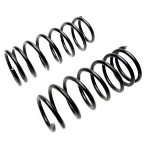  Raybestos 591 1061 Professional Grade Coil Spring Set 