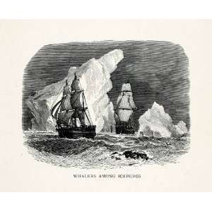 1907 Wood Engraving Whalers Icebergs Arctic Glacier Ship 