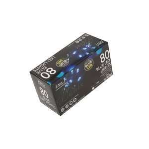   Outdoor Christmas Lights 80 Blue LED Multi Function Lights: Home