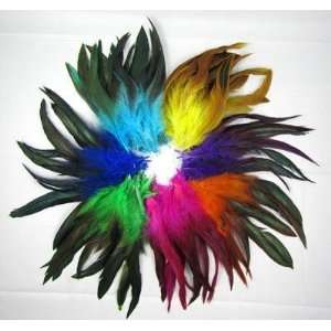  35 Colorful Rooster Feather Hair Extensions: Beauty