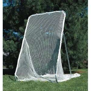Goal Sporting Goods Kicking Cage:  Sports & Outdoors