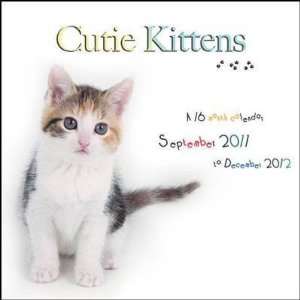 Cute Kittens 2012 Wall Calendar