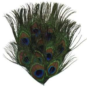  Zucker Feather Peacock Eye Pad Hair Jewelry: Everything 