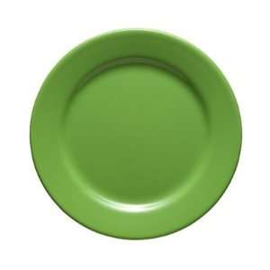  Fun Factory Rimmed Salad Plate in Green Apple: Kitchen 